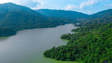 Shing Mun Reservoir çevresindeki barışçıl doğa manzarası