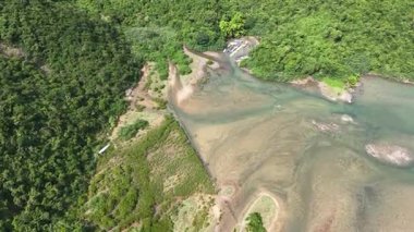 Tai Tam Liman Sahil Manzarası Sakin Sular 16 Ağustos 2025