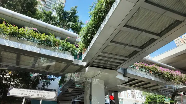 Yeşilliklerle çevrili yüksek yaya geçidi,