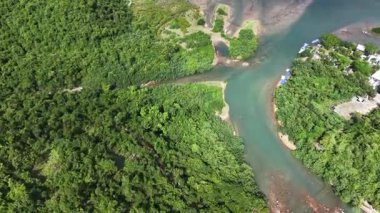 Tai Tam Liman Sahil Manzarası Sakin Sular 16 Ağustos 2025