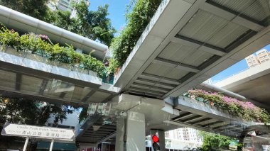 Yeşilliklerle çevrili yüksek yaya geçidi,