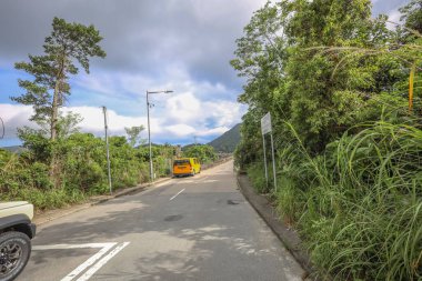 Yoğun yeşil yapraklarla kaplı sakin bir kırsal yol