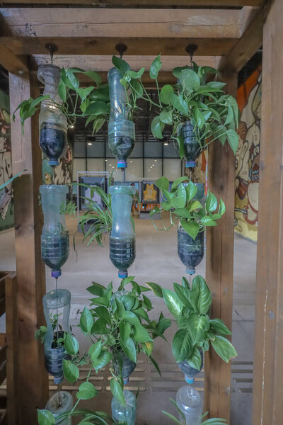 Innovative use of recycled plastic bottles for vertical gardening