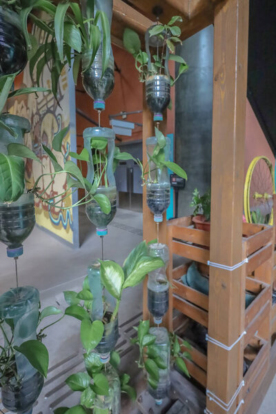 Innovative use of recycled plastic bottles for vertical gardening