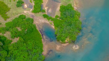 Bereketli yeşil tepelerle çevrili sakin bir su deposu.