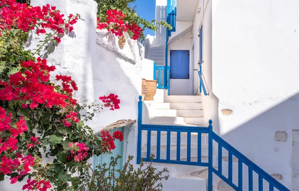 Red flowers and blue accents on whitewashed homes on Paros island in Greece