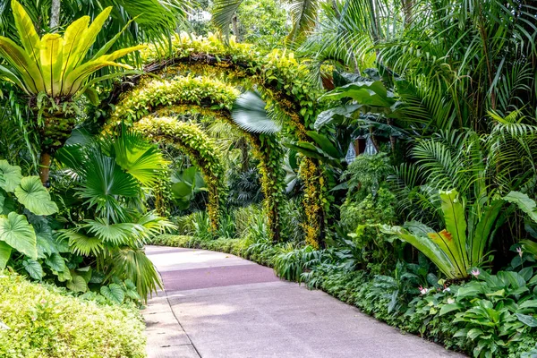 Archway Gyalogösvény Szingapúri Botanikus Kertekben — Stock Fotó