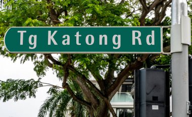 Singapur şehir merkezinde yeşil yol tabelası