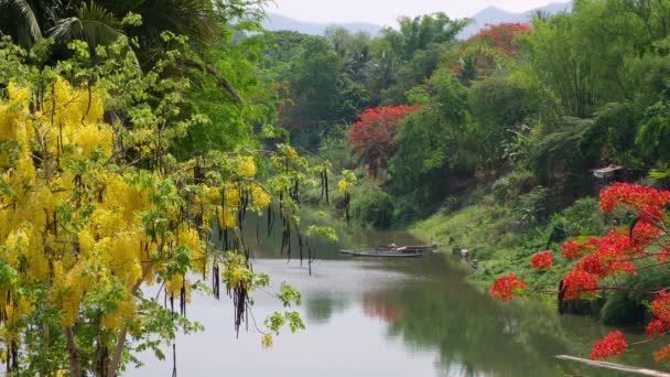 Nam Khan River Flowing Luang Prabang Laos — Stock Video