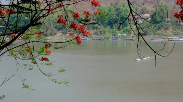 ルアンパバーンのメコン川のロングボートラオス — ストック動画