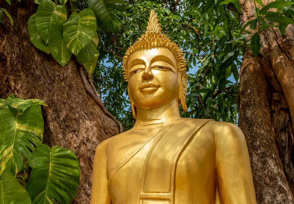 Guldbuddha Staty Vid Wat Hosian Voravihane Buddhist Temple Luang Prabang — Stockfoto