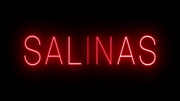 Rotes Flackern Und Blinkende Leuchtreklame Für Salinas — Stockvideo
