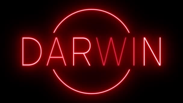 Red Flickering Blinking Animated Neon Sign Darwin — Stock Video