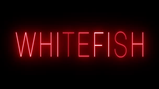Red Flickering Blinking Animated Neon Sign Whitefish — Stock Video