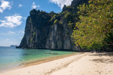Filipinler 'deki Palawan Adası' ndaki tropik plaj ve yağmur ormanları
