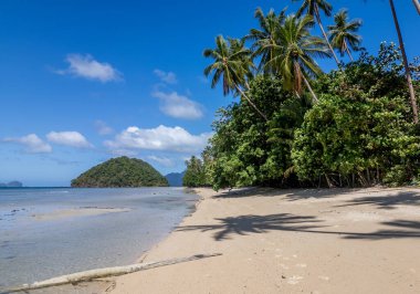 Filipinler 'deki Palawan Adası' ndaki tropik plaj ve yağmur ormanları