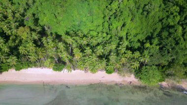 İnsansız hava aracı Filipin Adaları 'ndaki tropikal bir plaja bakıyor.