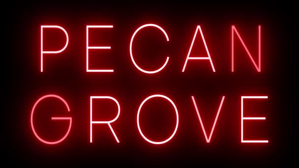 赤いレトロスタイルのネオンサインは Pecan Groveの黒い背景に輝いています — ストック動画