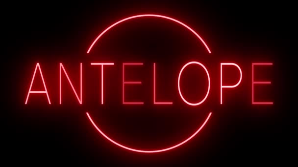 Flickering Rosso Stile Retrò Neon Segno Incandescente Contro Uno Sfondo — Video Stock