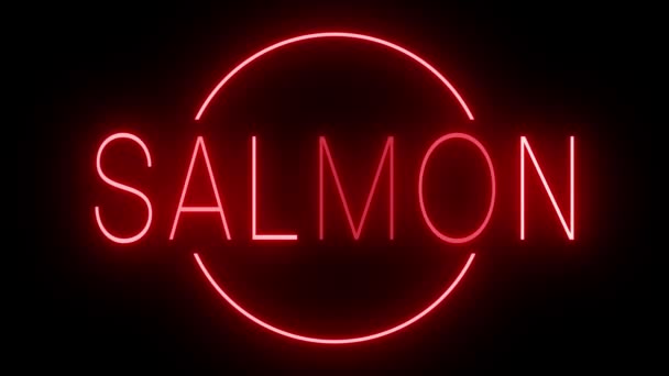 赤いレトロスタイルのネオンサインがSalmonの黒い背景に輝く — ストック動画