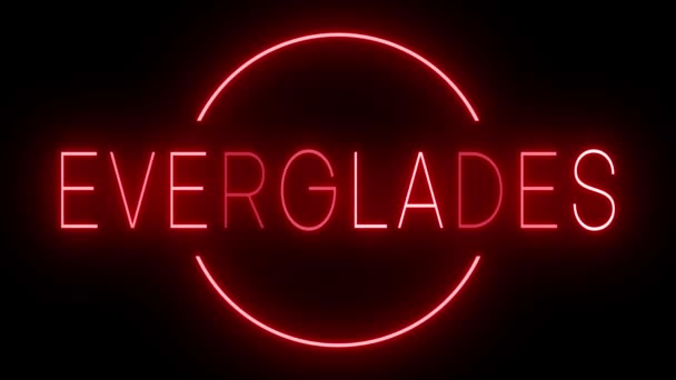 Migający Czerwony Neon Stylu Retro Świecący Czarnym Tle Dla Everglades — Wideo stockowe