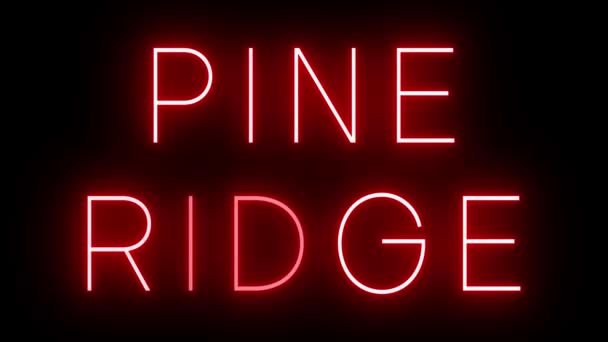 Migający Czerwony Neon Stylu Retro Świecący Czarnym Tle Dla Pine — Wideo stockowe