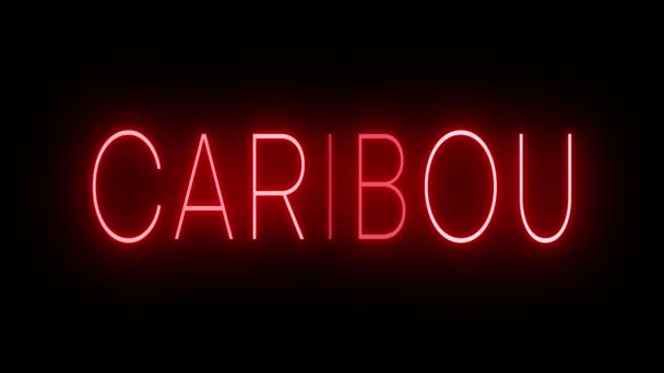 Мерцающий Красный Неоновый Знак Стиле Ретро Светится Черном Фоне Карибоу — стоковое видео