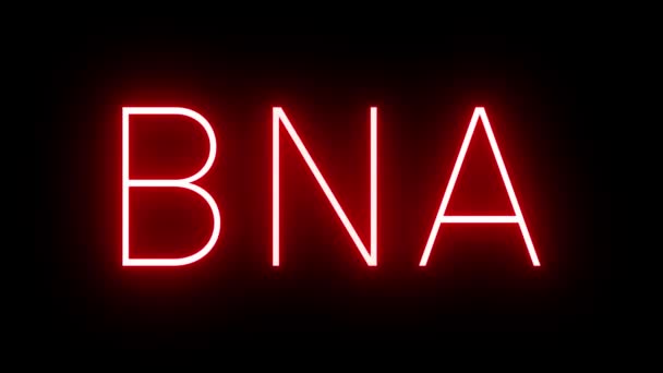 Czerwony Neon Retro Trzyliterowym Identyfikatorem Bna Nashville International Airport — Wideo stockowe