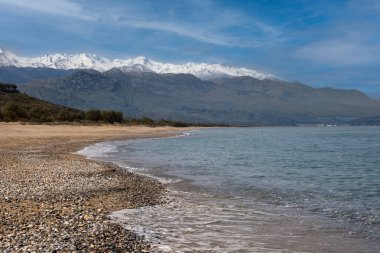 Yunanistan 'ın batı Girit' inde bir çayırda açan sarı kır çiçekleri