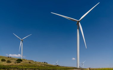 Kuzey İsrail 'deki Golan Tepeleri' nde kırsal bir üzüm bağında dev beyaz rüzgar türbinleri