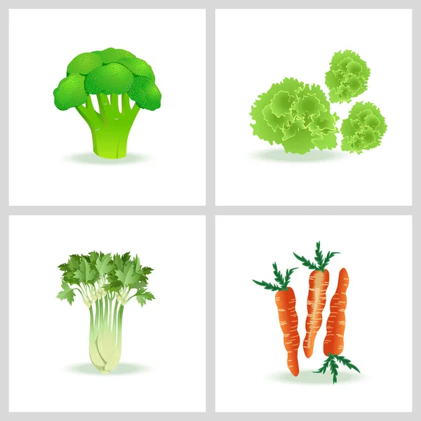 Świeże Warzywa Brokuły Sałatka Marchew Seler Wektor Ilustracja Zestaw — Wektor stockowy