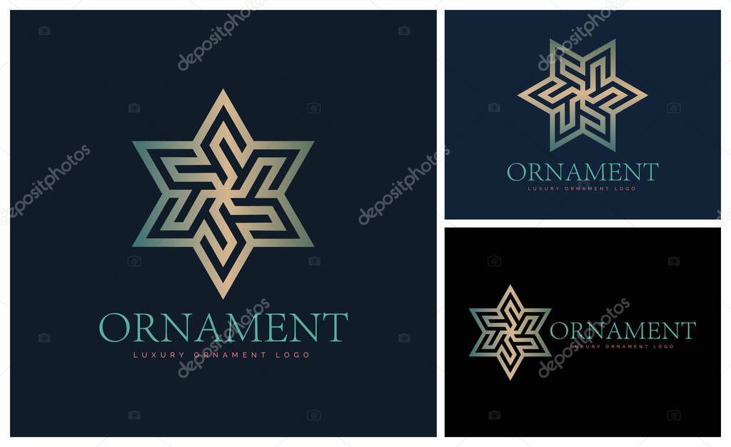 Hexagram stars ornament gold luxury modern logo template design for brand or company and other