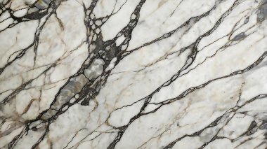 Siyah damarlı beyaz mermer yüzey.