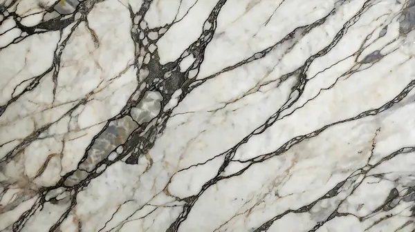 Siyah damarlı beyaz mermer yüzey.