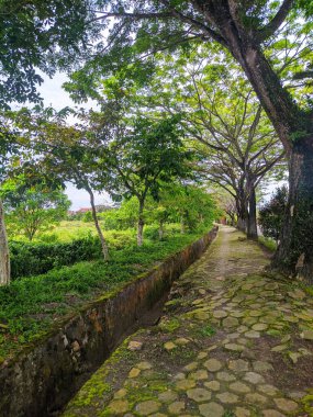Parkın güzel manzarası