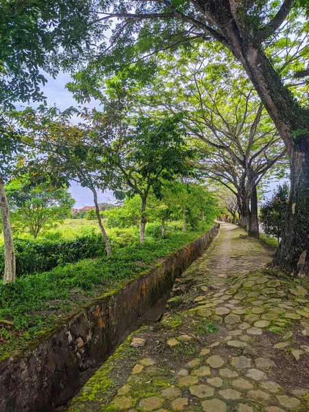 stock image  footpath in the park