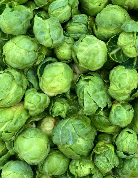 Świeże Brukselki Zamykają Się Zielone Tło Dla Rynku Warzywami — Zdjęcie stockowe