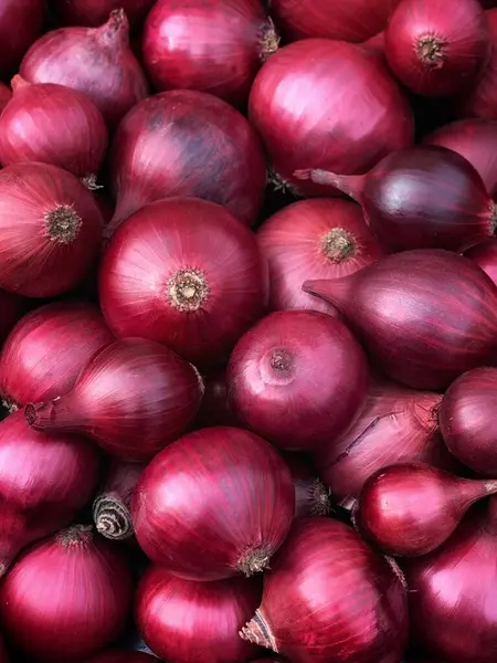  Fresh red onion close up. Harvest concepts. Organic vegetables.