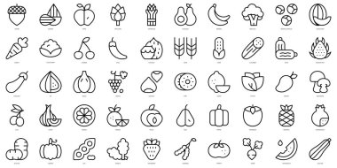 Bir dizi basit meyve ve sebze ikonu. İnce çizgili sanat simgeleri paketi. Vektör illüstrasyonu