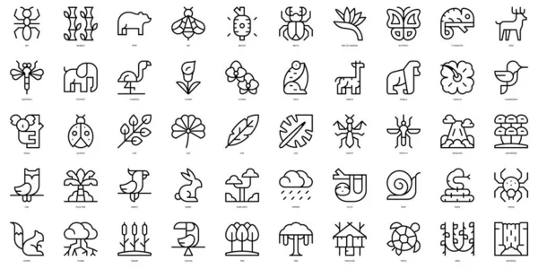 Set of thin line rainforest Icons. Vector illustration