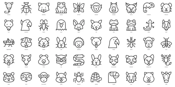 Set of thin line exotic life Icons. Vector illustration