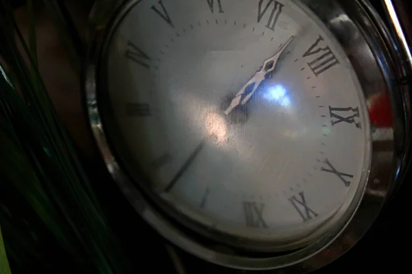 Reloj Vintage Hoja Planta Con Efecto Bokeh — Foto de Stock