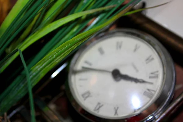 Винтажные Часы Листья Растений Эффектом Боке — стоковое фото