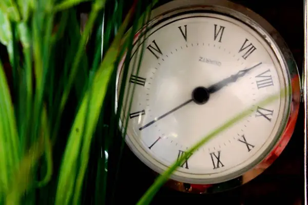 Винтажные Часы Листья Растений Эффектом Боке — стоковое фото