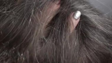 Olgun bir kadın beyaz saçlarını gösteriyor.