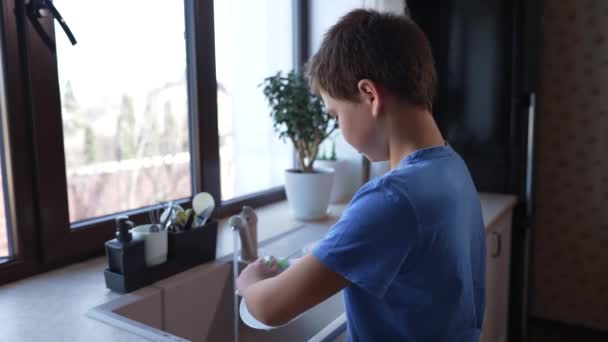 Junge Spült Geschirr Der Spüle Mit Waschmittel — Stockvideo