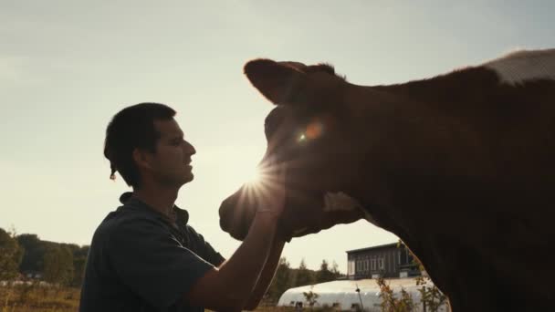 Enfants Jouant Avec Une Vache Dans Prairie — Video