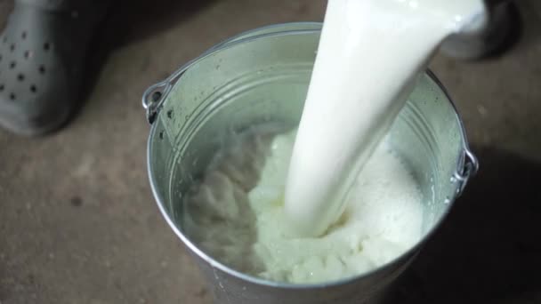 Αγρότης Ρίχνει Γάλα Κονσέρβα Στη Φάρμα — Αρχείο Βίντεο