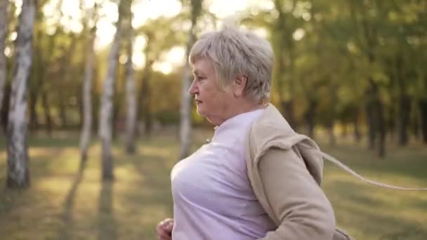 Yaşlı Kadın Doğa Üzerinde Egzersiz Yapıyor — Stok video