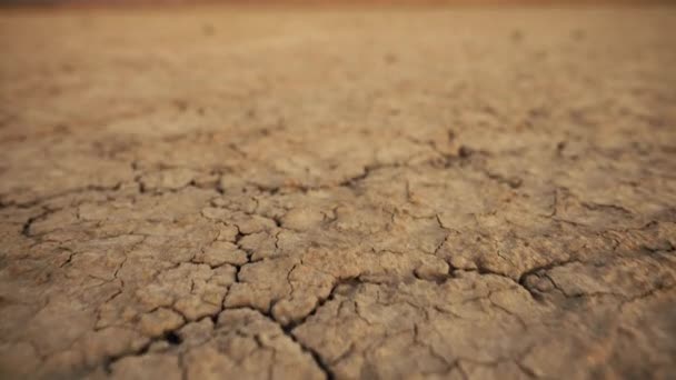 Land Dry Cracked Ground Global Warming — Stock Video